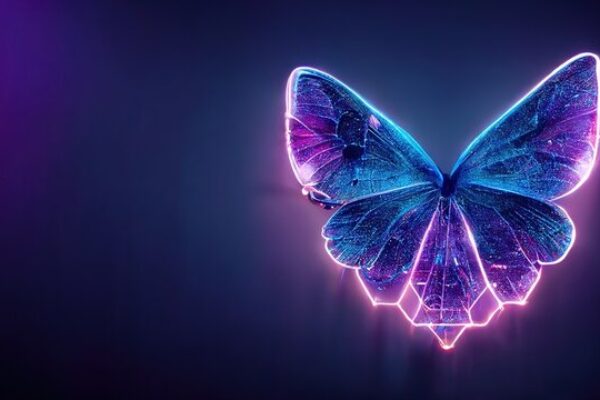 digi butterfly digi butterfly